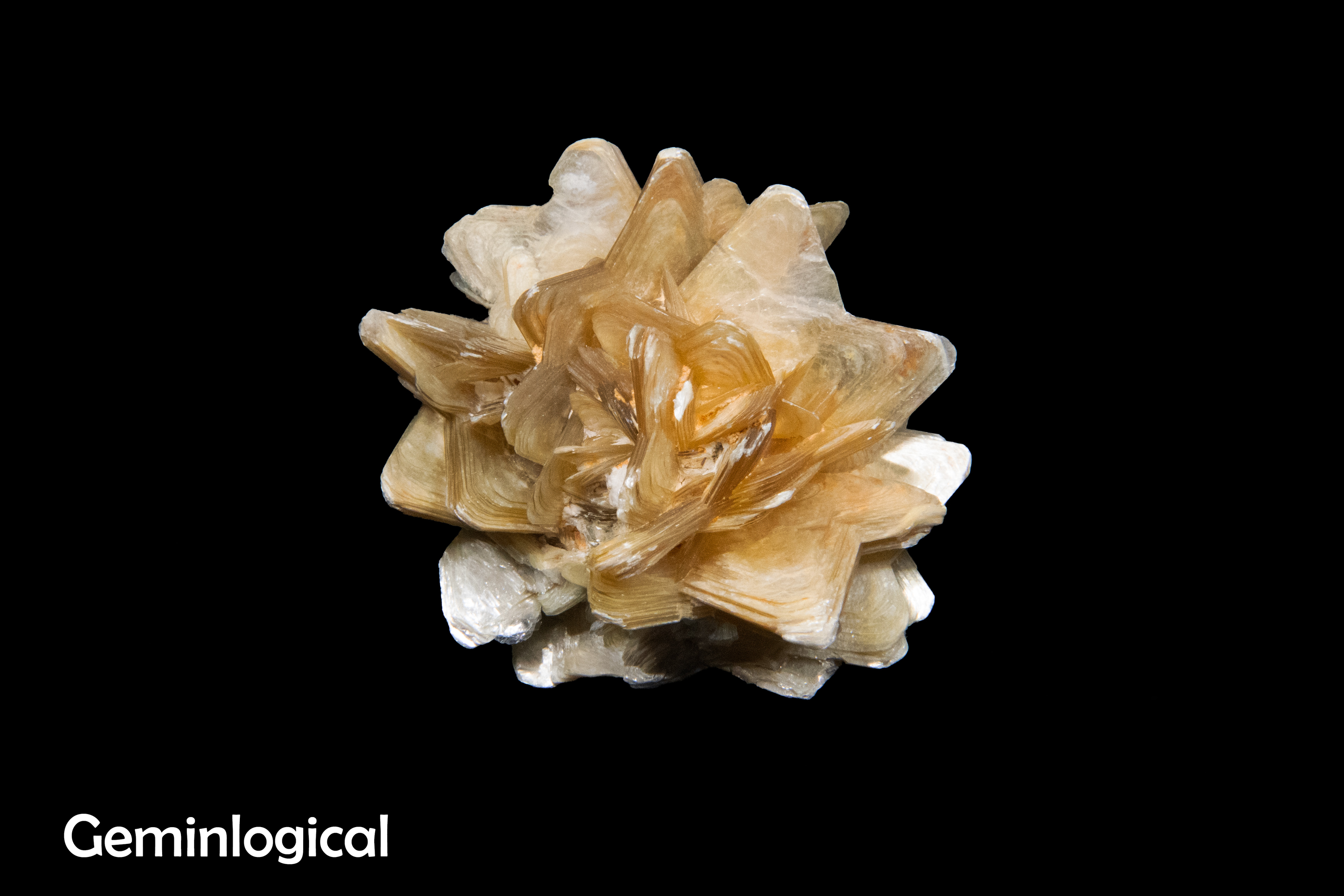 Crystals, Fossils, Gemmologist 