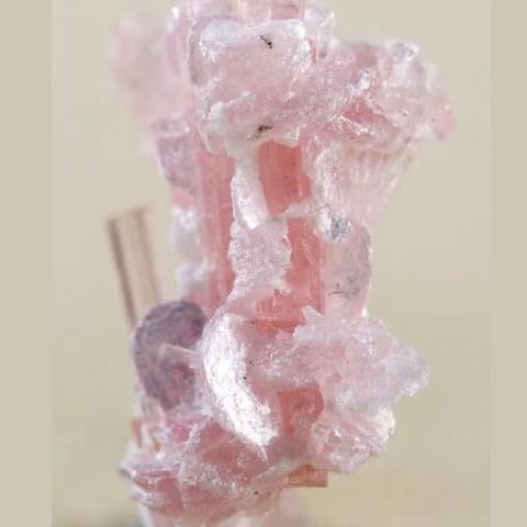 Crystal seller exhibiting at South of England Mineral Show