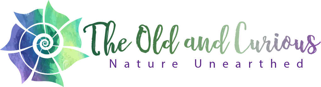 Exhibitor at the South of England Mineral Show